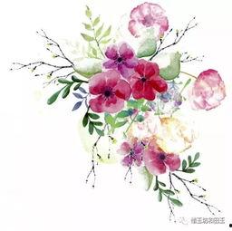 心上刻桔梗,一段刻骨铭心的情感旅程