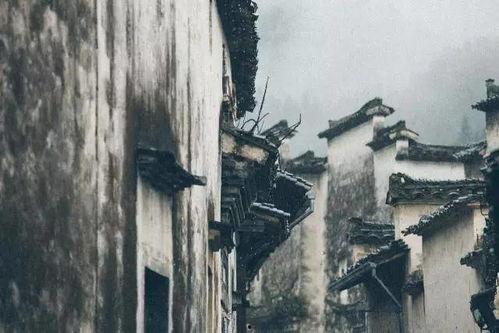 冬雨又逢春,冬雨重逢春意浓